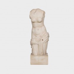 Shell Venus or Chaste Venus's torso