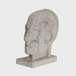 Reverse of an anatomical head
