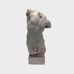 Hercules torso