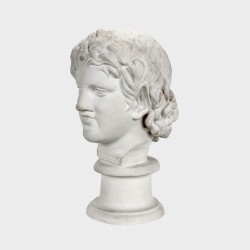 Head of  Praxiteles's satyr