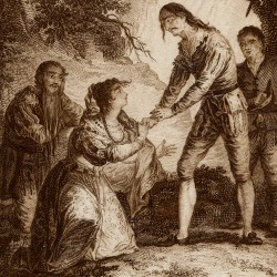 Don quixote receives the princess Micomicona (7th plate)