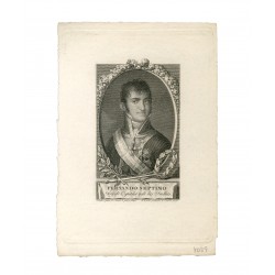 Portrait for Ferdinand VII