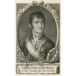 Portrait for Ferdinand VII
