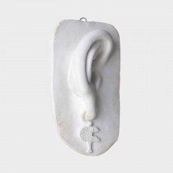 Ear with earring