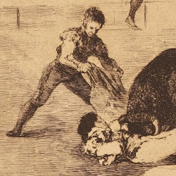 The terrible death of Pepe Illo at Madrid´s bullring (Tauromaquia Plate 33)