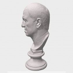 Head of Terentius (reduction)