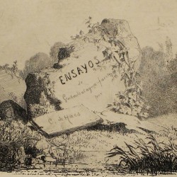 Cover of the etchings essays