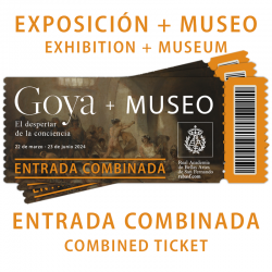 Combined Ticket: Permanent Collection + Exhibition "Goya, el despertar de la conciencia"