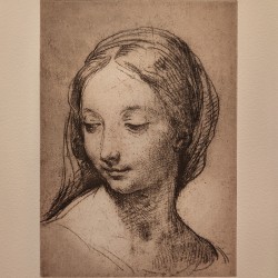 Head of the Virgin