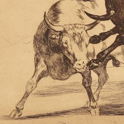Ceballos riding another bull breaks short spears at the Madrid's bullring (Tauromaquia Plate 24)