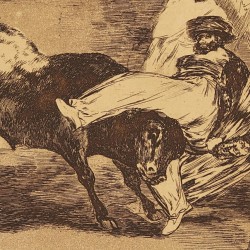 A Moor Caught by the Bull in the ring (Tauromaquia Plate 8)