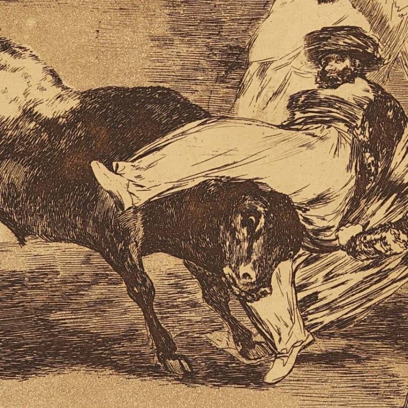 La Tauromaquia de Goya