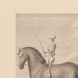 Man's skeleton position on horseback