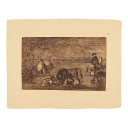 Dogs attack the bull (Tauromaquia Plate C)