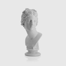 Medicis Venus's head