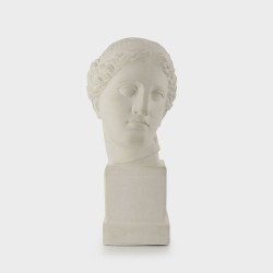 Venus of Arles's head
