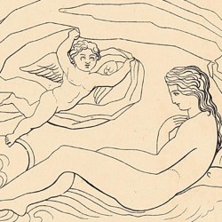Birth of Venus (Plate 25)
